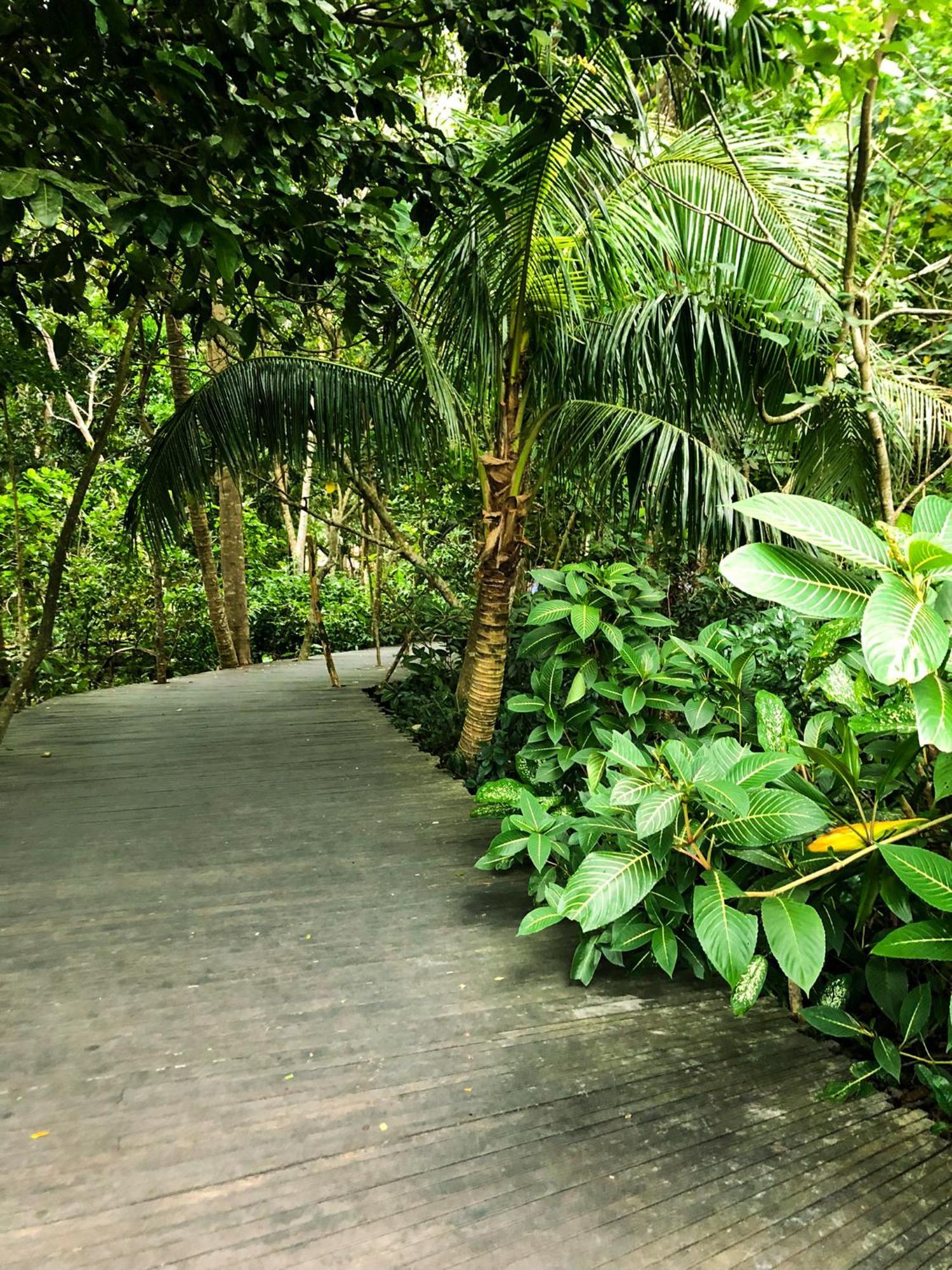 Rayshiva Homestay Ubud Exterior foto